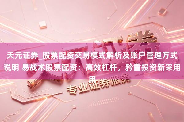 天元证券_股票配资交易模式解析及账户管理方式说明 易战术股票配资：高效杠杆，矜重投资新采用